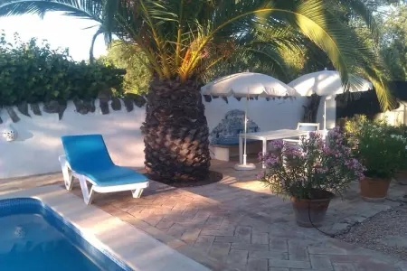 229804, Casa das Palmeiras - Photo 5