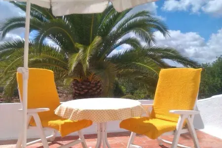 229804, Casa das Palmeiras - Photo 6