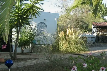 229804, Casa das Palmeiras - Photo 8
