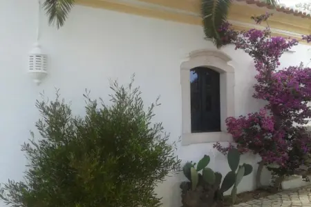 229804, Casa das Palmeiras - Photo 11