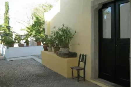 229804, Casa das Palmeiras - Photo 13