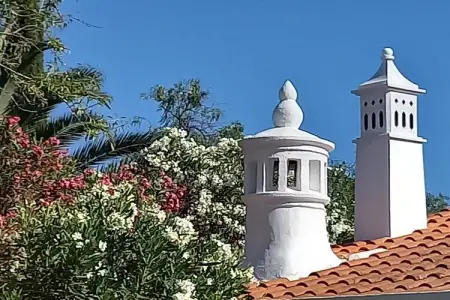 229804, Casa das Palmeiras - Photo 14