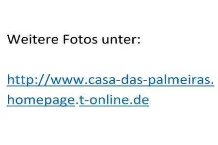 229804, Casa das Palmeiras - Photo 43