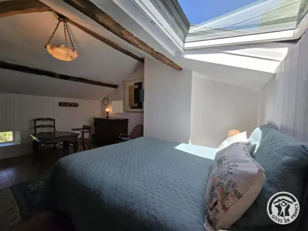 Maison avec piscine privée et animaux admis - 10 pers. - Photo 22