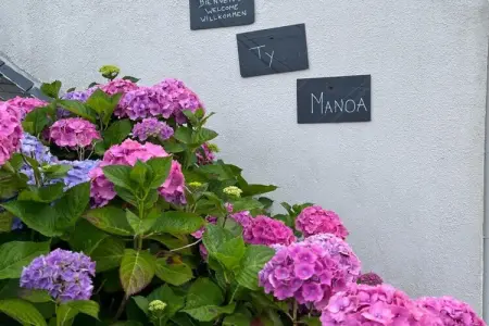TY MANOA, Jolie maison en bord de mer pour 4 personnes - Photo 35