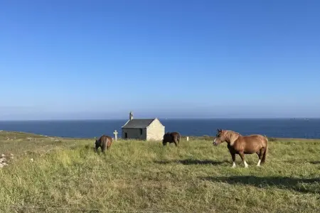 KER HELEN, Maison familiale avec vue sur mer à Landéda - Photo 25