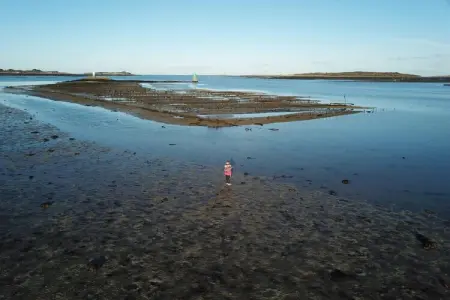 ILE CEZON, Appartement à Landéda avec vue sur la plage - Photo 33