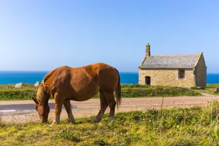 TY MELEN, Charmante maison bretonne près de la mer - Photo 30