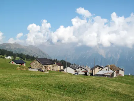 Casa Töira, Maison 6 personnes à Olivone - Photo 40