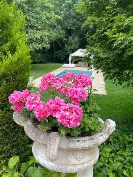 Spacieuse villa avec piscine privée à Chailly-en-Brie - Photo 71