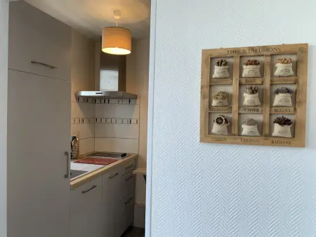 Charmant T2 en centre-ville - 2 pers., Appartement 2 personnes à La Roche Posay - Photo 3