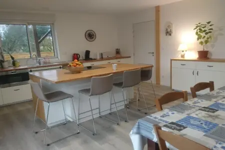 ROSCAROC ENEZ HIR, Appartement de charme près de la plage - Photo 11