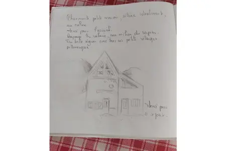 202864, Appartement de vacances à Labaroche avec barbecue - Photo 20