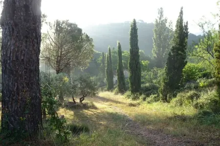 53459, Mas Sainte Odile - Photo 13