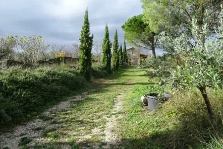 53459, Mas Sainte Odile - Photo 18
