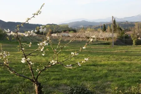 53459, Mas Sainte Odile - Photo 26