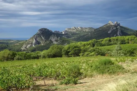 53459, Mas Sainte Odile - Photo 38