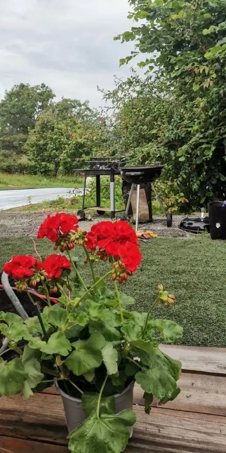 Bienvenue dans ce lieu aussi relaxant qu'amusant ! - Photo 27