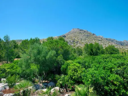 Villa avec piscine privée et clim - 10 pers., Villa 10 personnes à Pollença - Photo 33