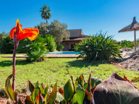 Villa avec piscine privée - 6 pers., Gite 6 personnes à Pollença - Photo 35