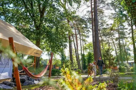 782127, Tente de glamping Luxe 6 - Photo 9