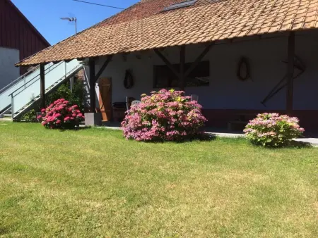 Maison indÃ©pendante, ferme, calme rural, Gite 4 personnes à Hirtzfelden - Photo 21