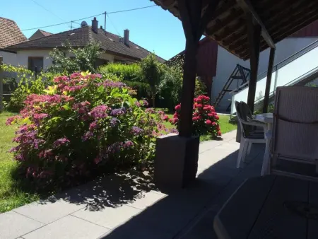 Maison indÃ©pendante, ferme, calme rural, Gite 4 personnes à Hirtzfelden - Photo 22
