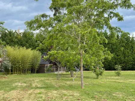 Chalet confortable avec jardin près de Chazemais - Photo 9