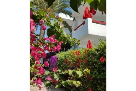 22972, Appartement de vacances avec 1 chambre - Photo 7