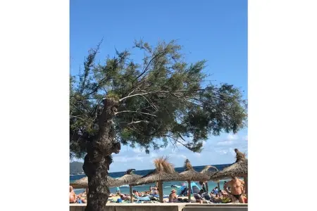 22972, Appartement de vacances avec 1 chambre - Photo 27