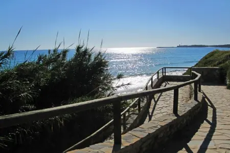 269269, El Cernícalo - El Damasco - Photo 16