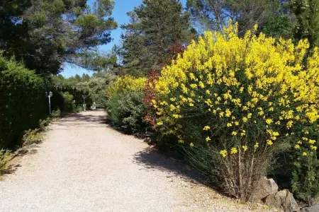 28463, Villa à 1 chambre - Photo 5