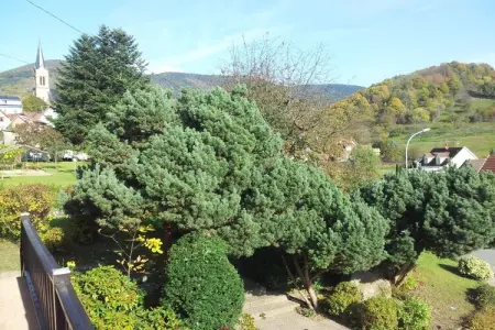 120452, Gîte Bellevue de 140 m² - Photo 6