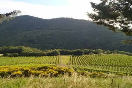758648, APPARTAMENTO VISTA VIGNETI - Photo 2