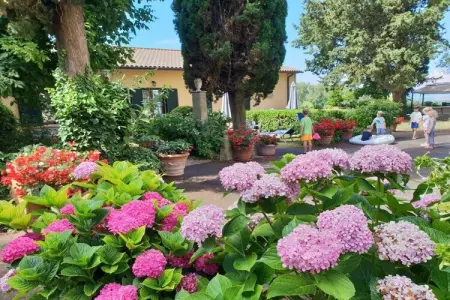 263888, Résidence Villa Elena - Photo 3