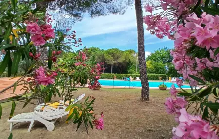 Appartement 4 personnes à Montescudaio - Photo 8