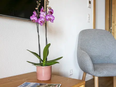 T-Resort, Appartement 8 personnes à La Tzoumaz - Photo 12