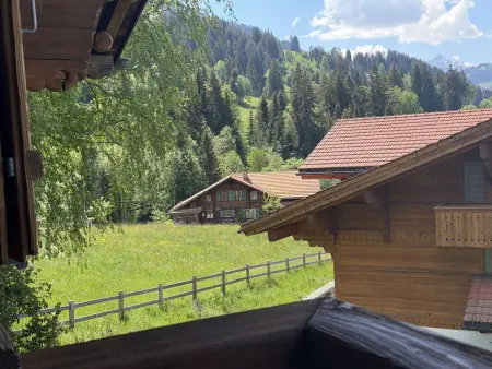 4-Bettwohnung, Appartement 4 personnes à Gstaad - Photo 5