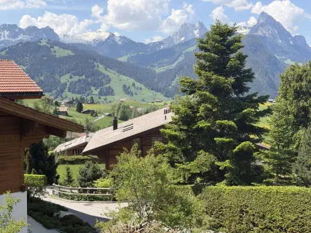 4-Bettwohnung, Appartement 4 personnes à Gstaad - Photo 6