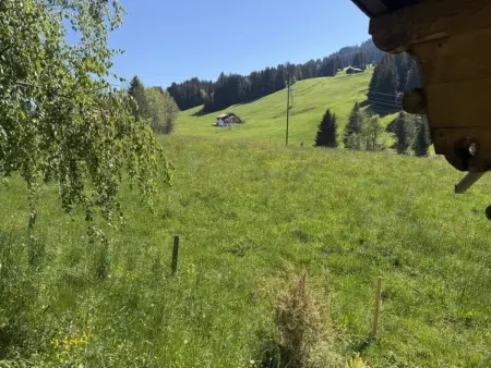 4-Bettwohnung, Appartement 4 personnes à Gstaad - Photo 12