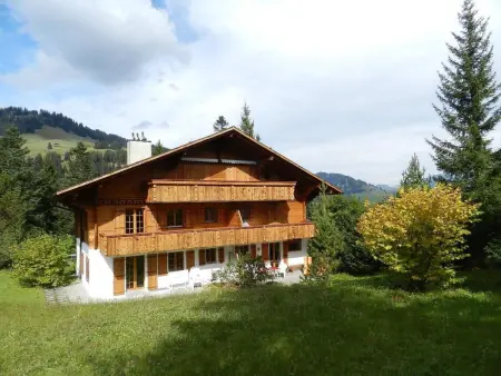 6-Bettwohnung, Appartement 6 personnes à Gstaad - Photo 2