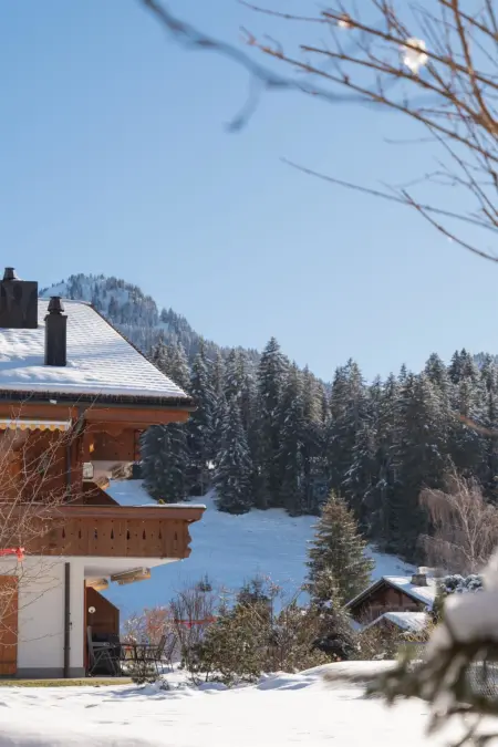 4-Bettwohnung, Appartement 4 personnes à Gstaad - Photo 4