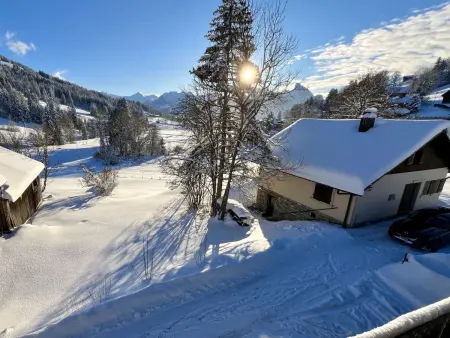 8-Bettwohnung, Appartement 8 personnes à Gstaad - Photo 3