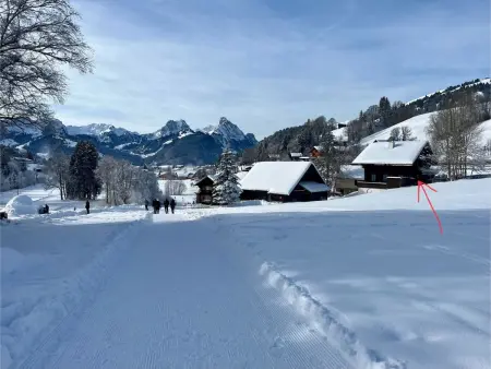 8-Bettwohnung, Appartement 8 personnes à Gstaad - Photo 9