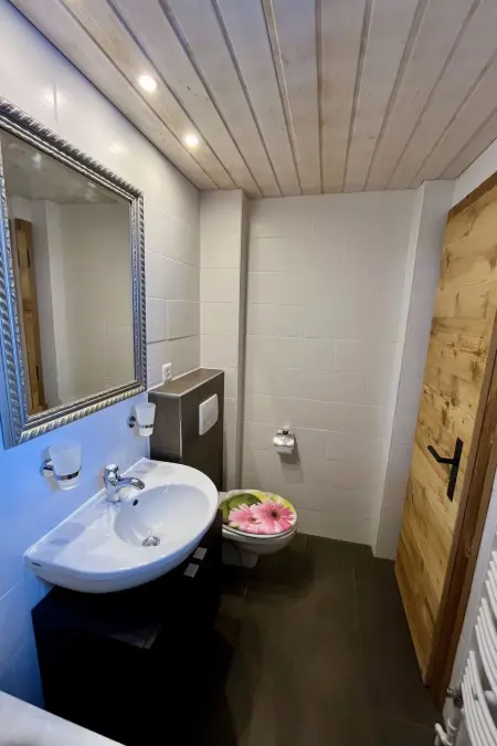 Ariel Appartement/Fewo, Dusche oder Bad, WC 8-Bettwohnung - Photo 33
