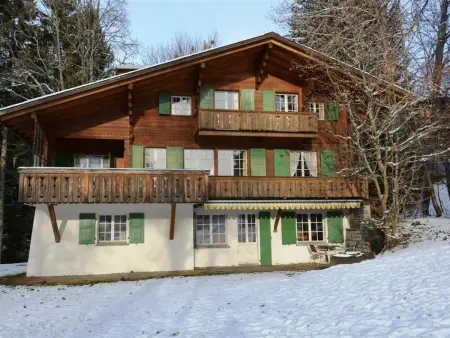 Les Erables, Chalet Appartement/Fewo, Dusche oder Bad, WC 7-Bettwohnung - Photo 1