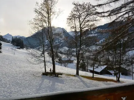 Les Erables, Chalet Appartement/Fewo, Dusche oder Bad, WC 7-Bettwohnung - Photo 6
