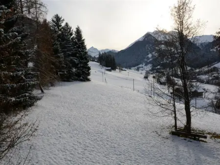 Les Erables, Chalet Appartement/Fewo, Dusche oder Bad, WC 7-Bettwohnung - Photo 7