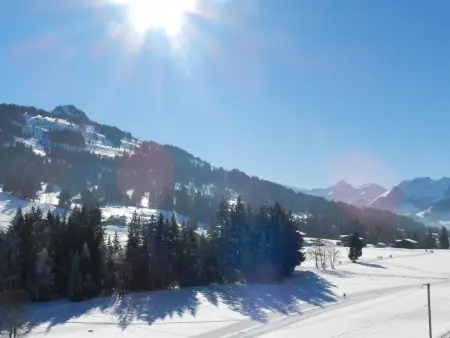 6-Bettwohnung, Appartement 6 personnes à Gstaad - Photo 5