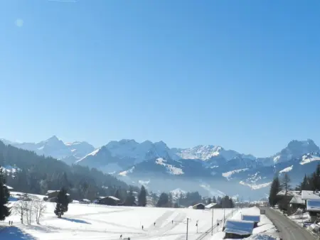 6-Bettwohnung, Appartement 6 personnes à Gstaad - Photo 6
